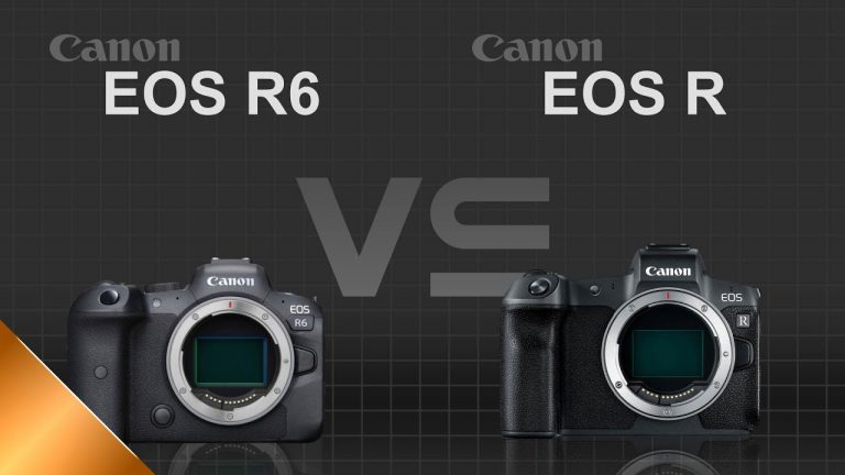 The Ultimate Comparison of Canon R VS R6 [2022]