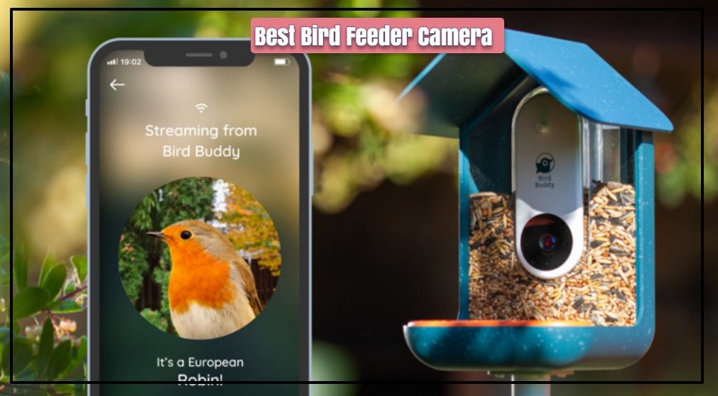Large Smart Bird Feeder 1080p Camera Bird House for Bird Watching,Capture Photos