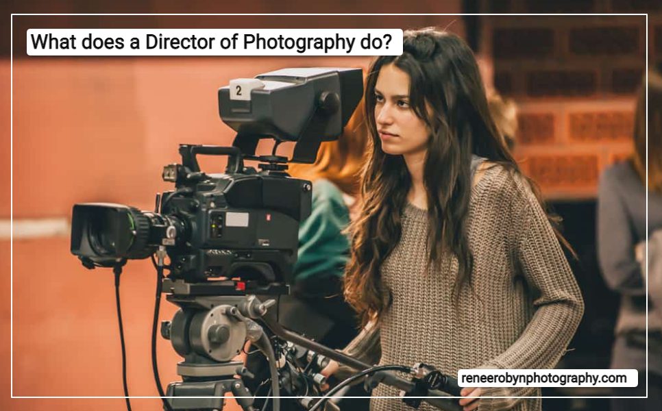 What does a Director of Photography do?