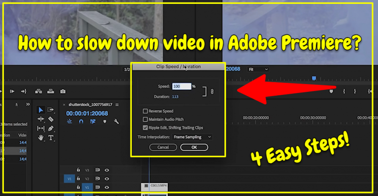 How to slow down video in Adobe Premiere? [4 Easy Steps]