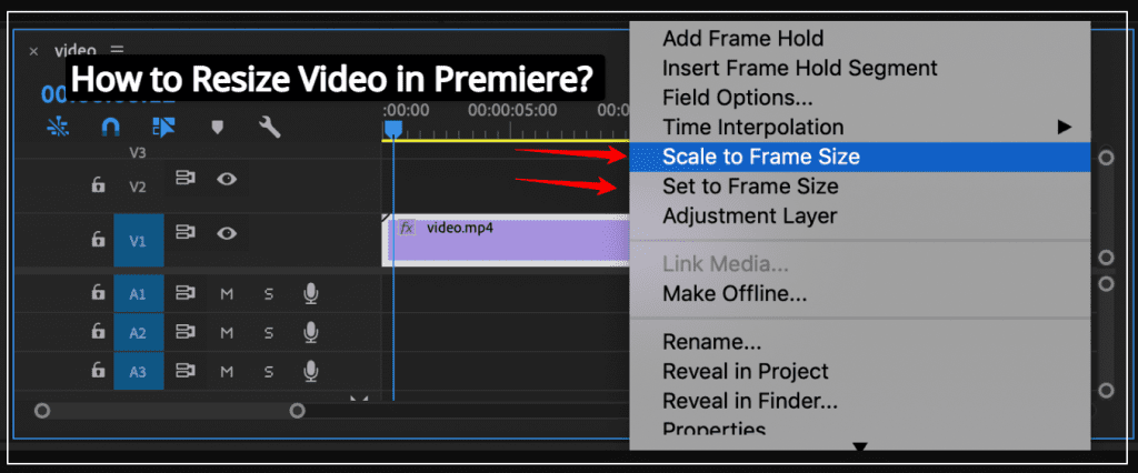 How to Resize Video in Premiere?
