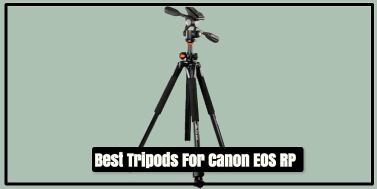 Best Tripods For Canon EOS RP