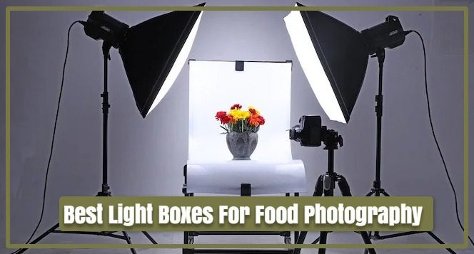 Best Light Boxes For Food Photography