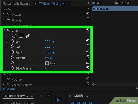 How to Crop a Video in Adobe Premiere Pro: 10 Steps